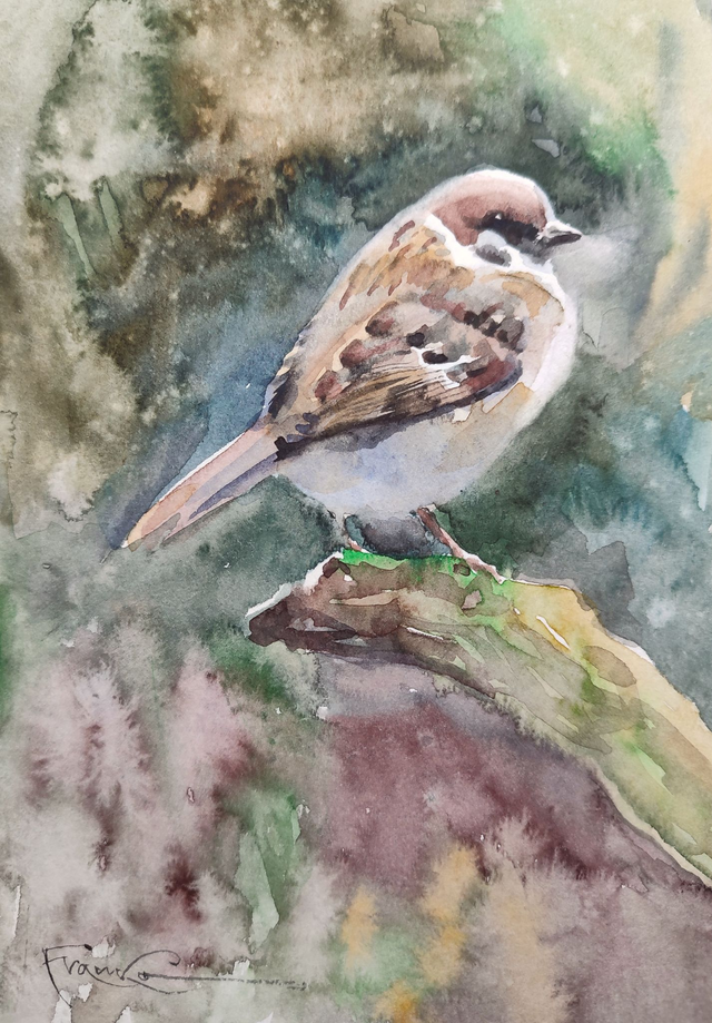 Mazurek, 30x24 (21x15 w świetle passe-partout) akwarela