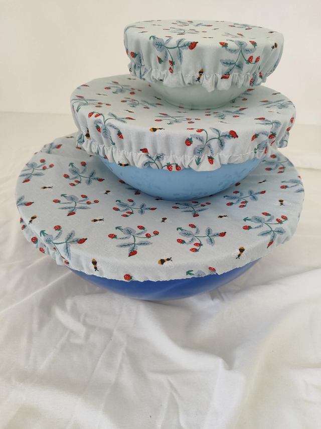 Charlotte alimentaire