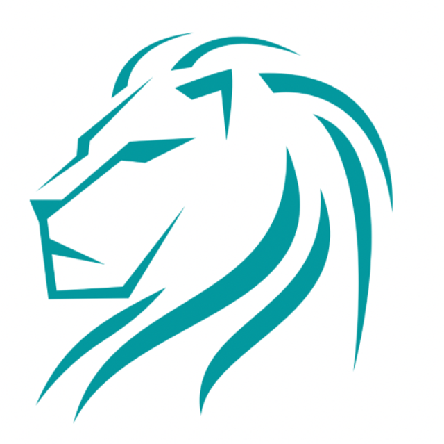 Home Visit Physiotherapy 30 minutes 