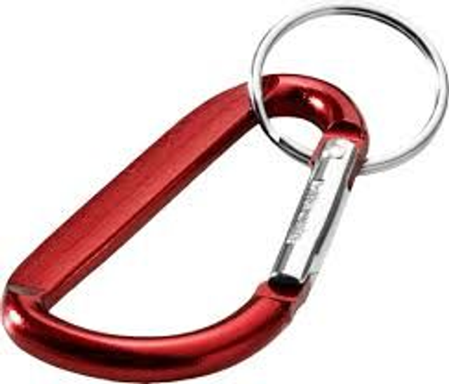 Carabiner Keyring