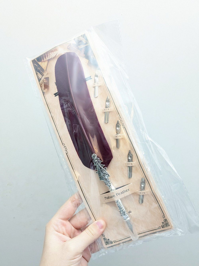 Plume d'écriture (en rupture de stock)