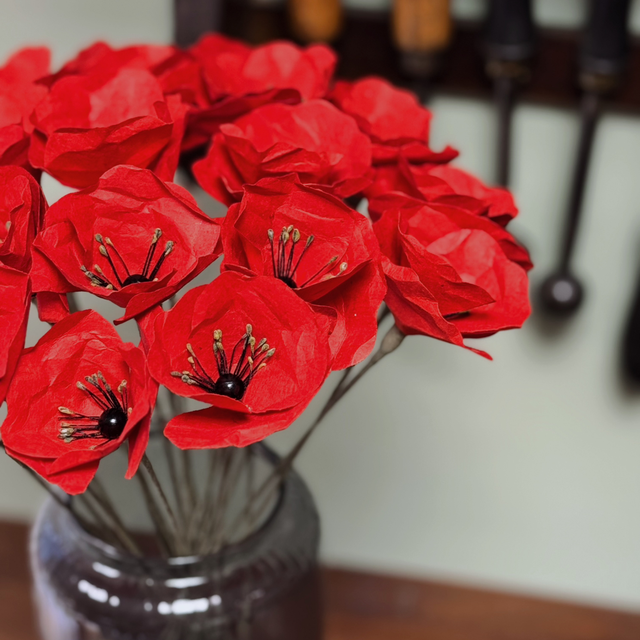 Coquelicot Rouge Vif