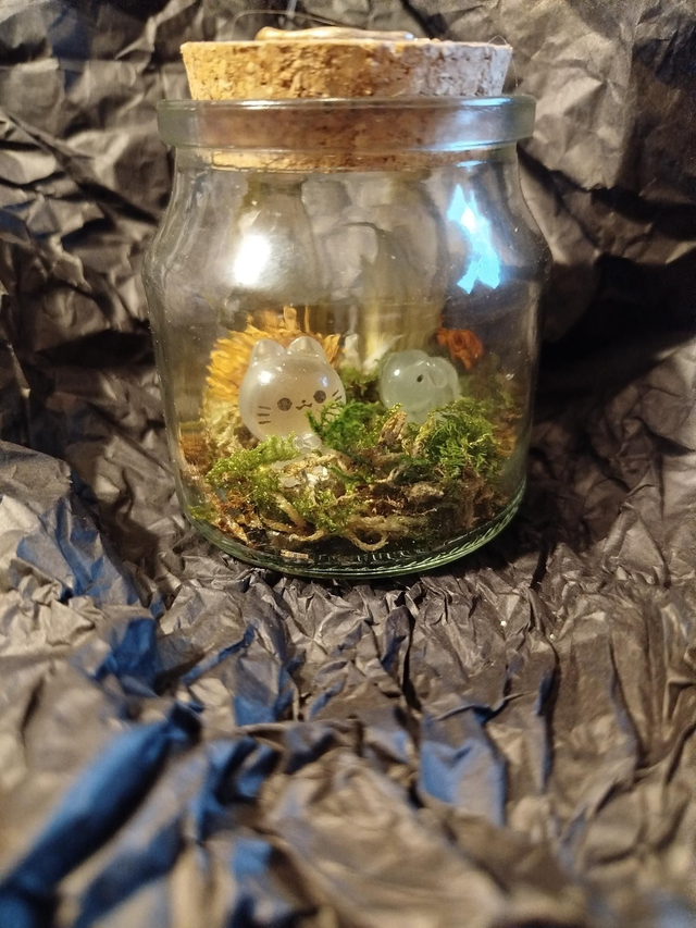 Team chaton blanc et son ami 