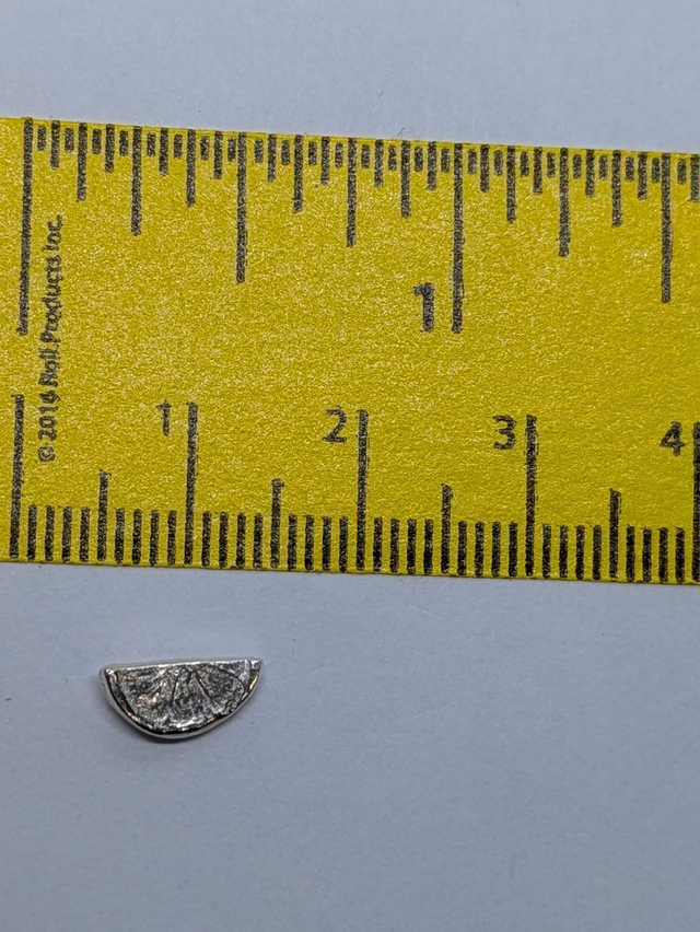 Medium Citrus Slice Earrings