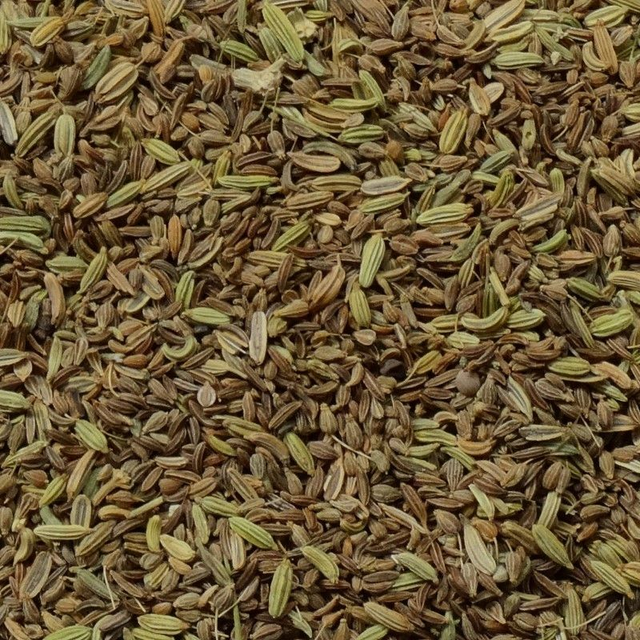 Moeder & baby (mother & baby) - BIO