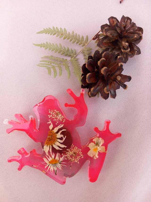 Magnet Grenouille (1)