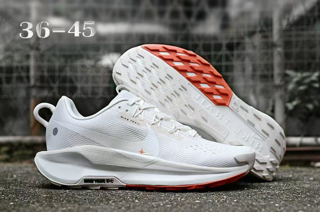 Nike Pegasus Trail 5 (Vendu sans la boîte )