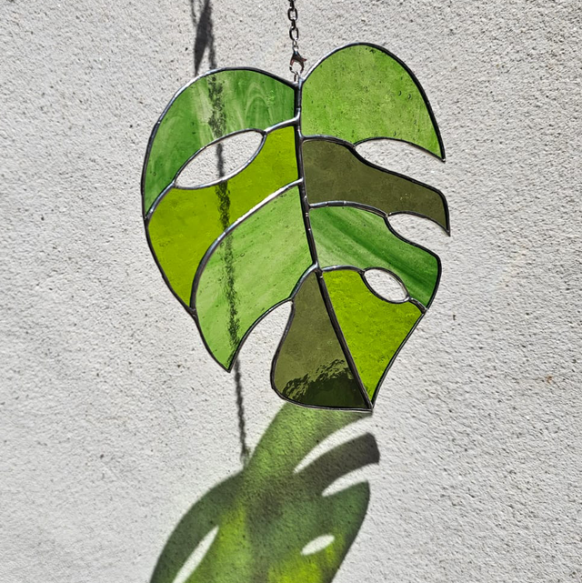 Feuille de Monstera verte