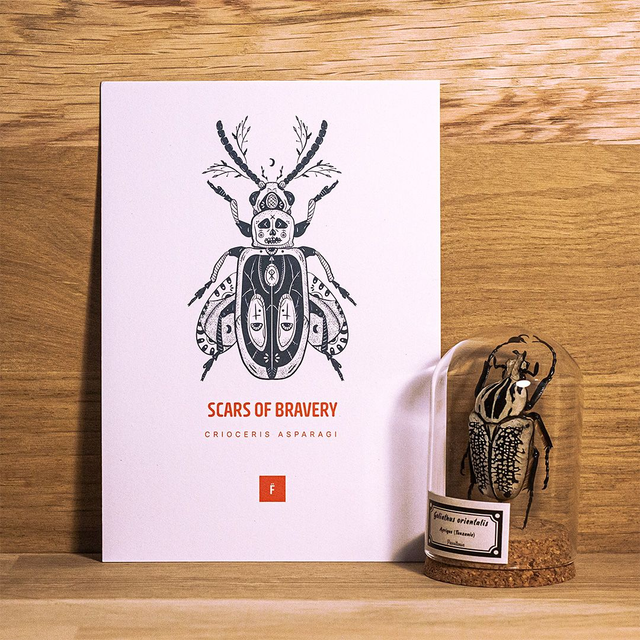 _A5 / Scars of bravery