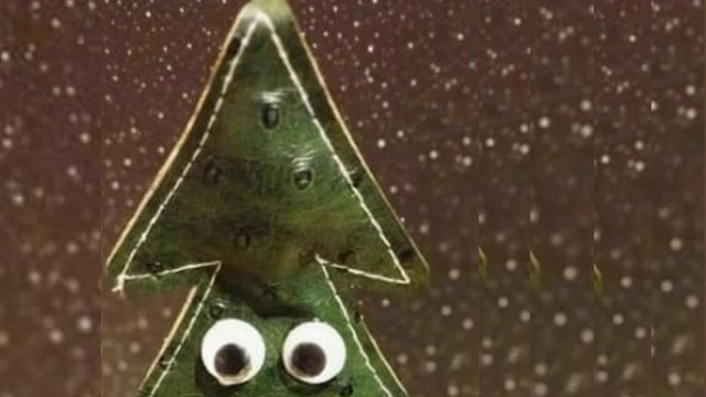 2 Mp3 "La chanson du petit sapin" (chanson+playback)