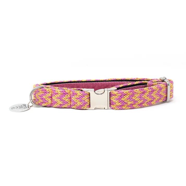 Stocky & Dee Collar - Peachy Punch