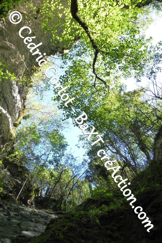 Impression sur alu dibond - Paysages et divers (ref P1170264)