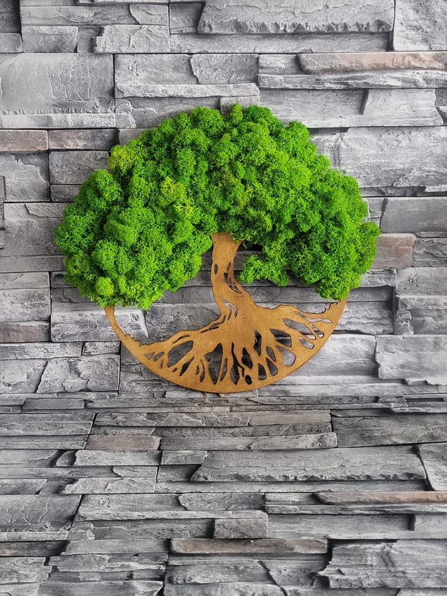 Oval Moss Tree / Small /