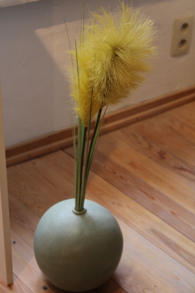 Vaas met pluim