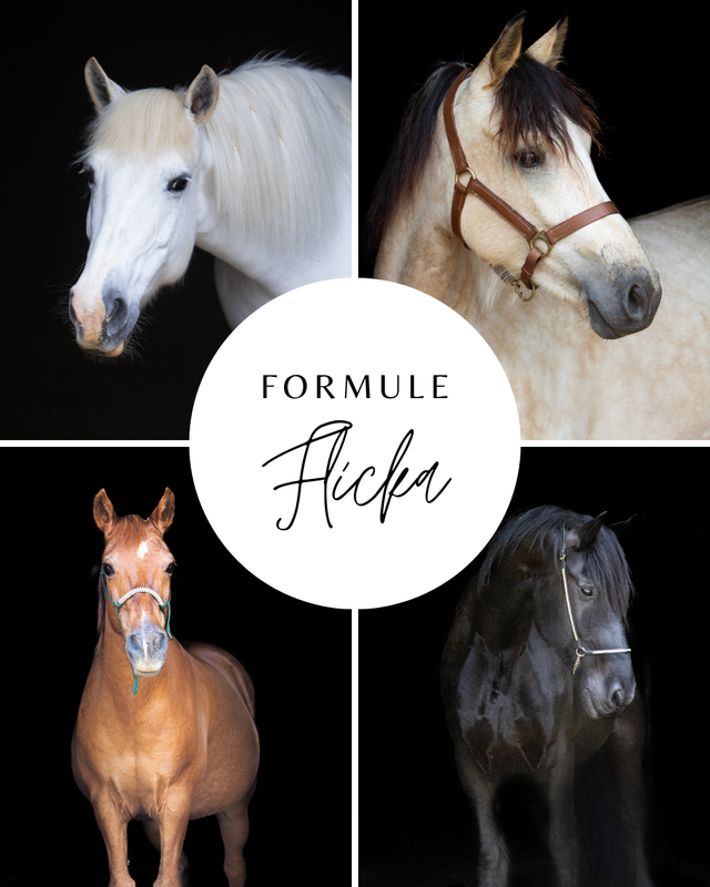 Formule Flicka
