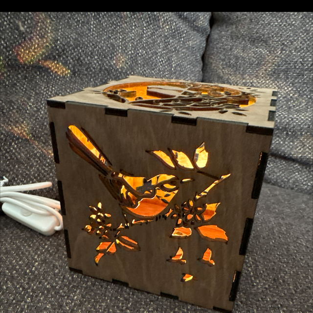 Le cube lumineux les oiseaux 