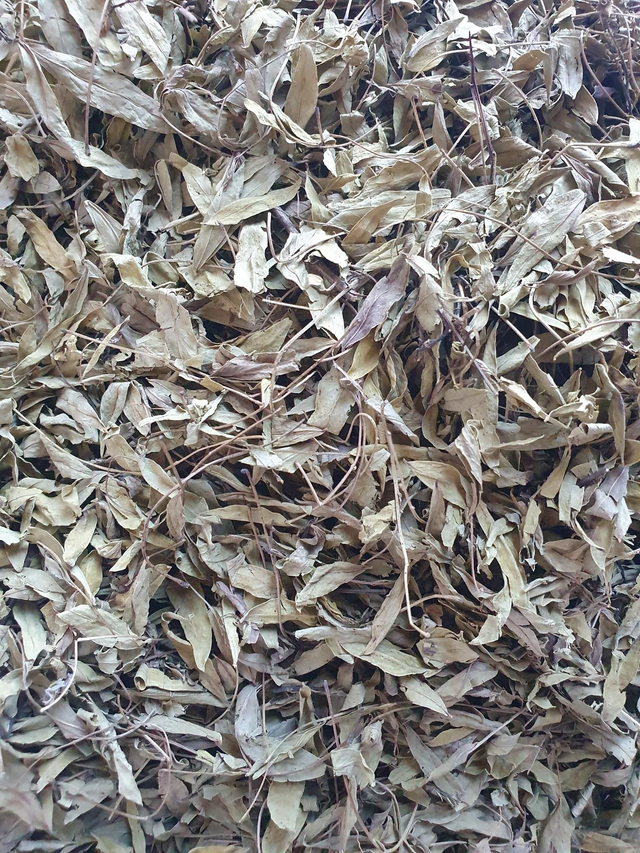 Feuilles de Séné 50g