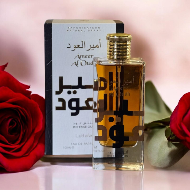 AMEER AL OUDH
