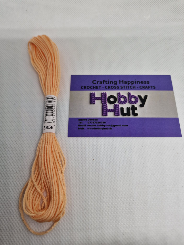 Embroidery Thread - 3856