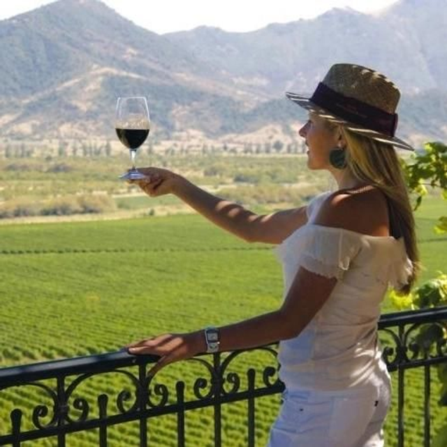 Transporte Viña Alyan