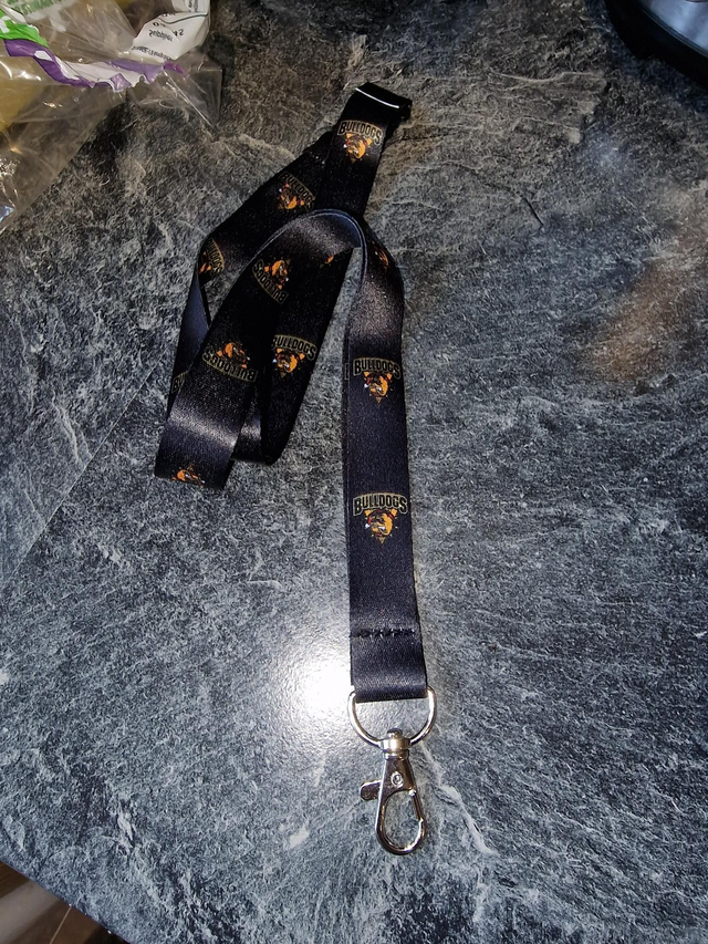 Lanyard