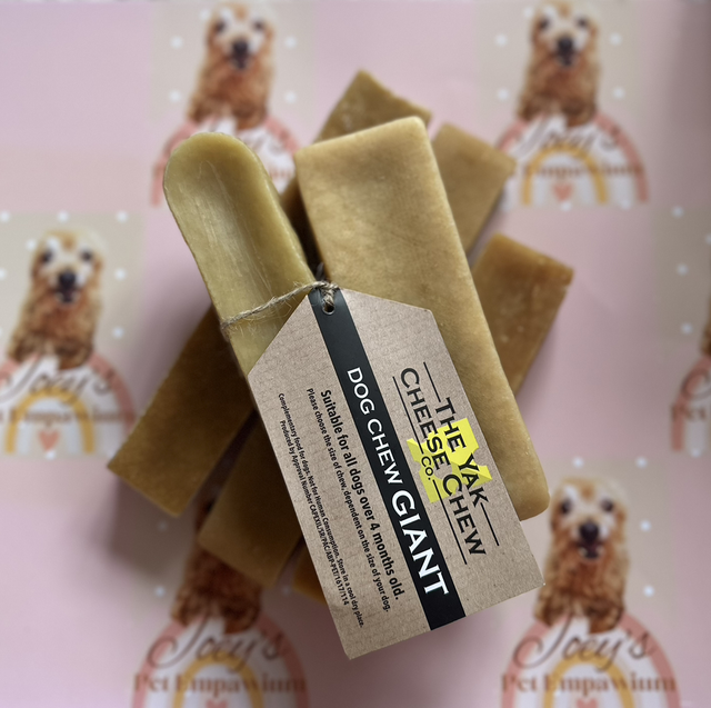 Giant Cheese Yak - REDUCED TO CLEAR