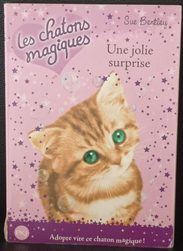 Les chatons magiques : Une jolie surprise de Sue Bentley (tome 1)