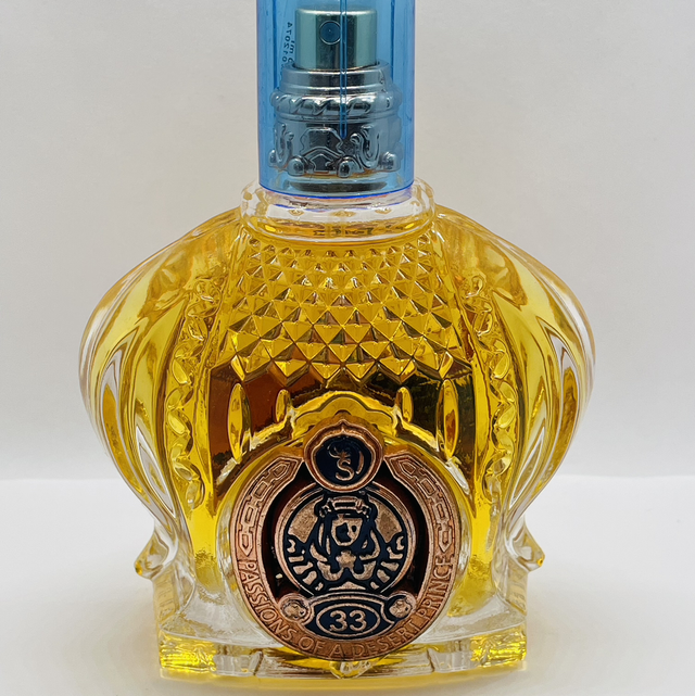 CHIC SHAIK BLUE No.33 for Women