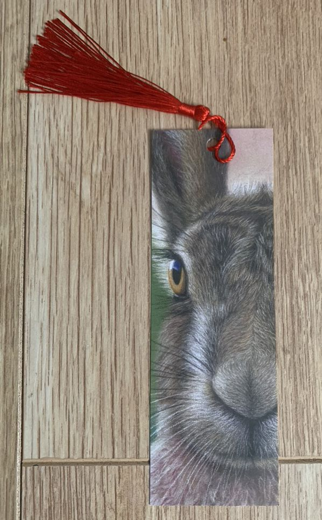 Bookmark - Hare Brained -  with tassel (random colour thread)