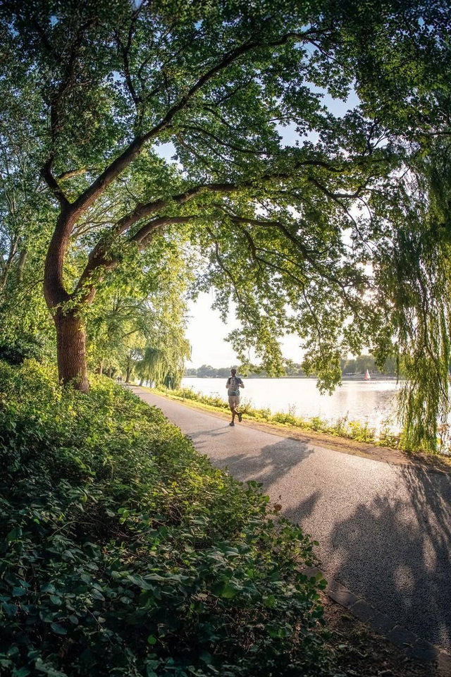 Uferweg am Aasee