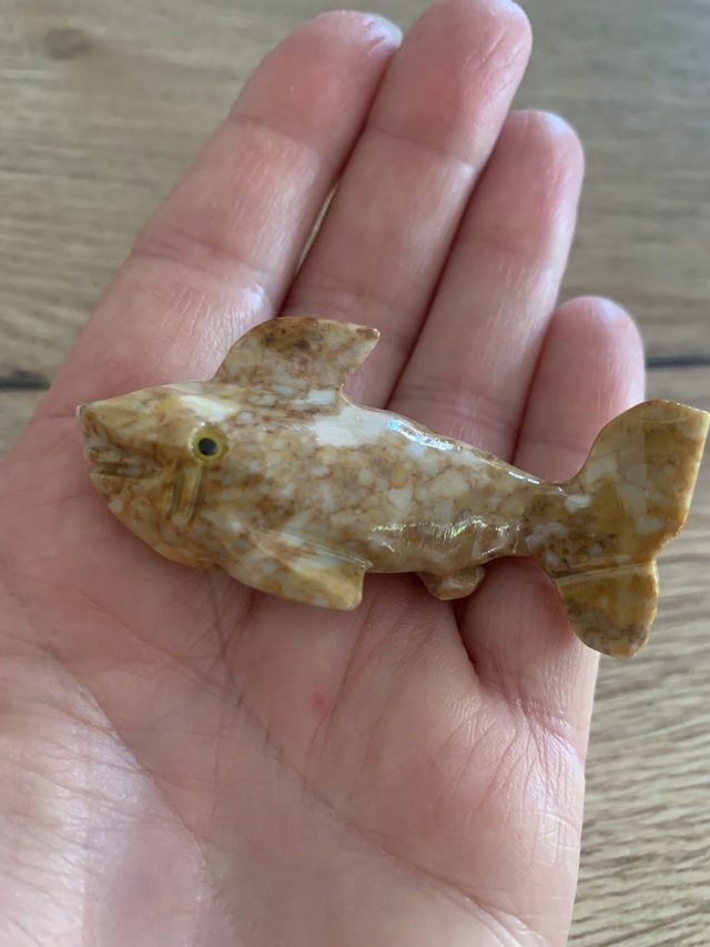 Requin Stéatite
