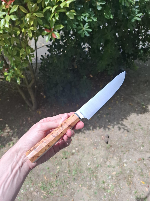 Trancheur - Loupe de bois de cade