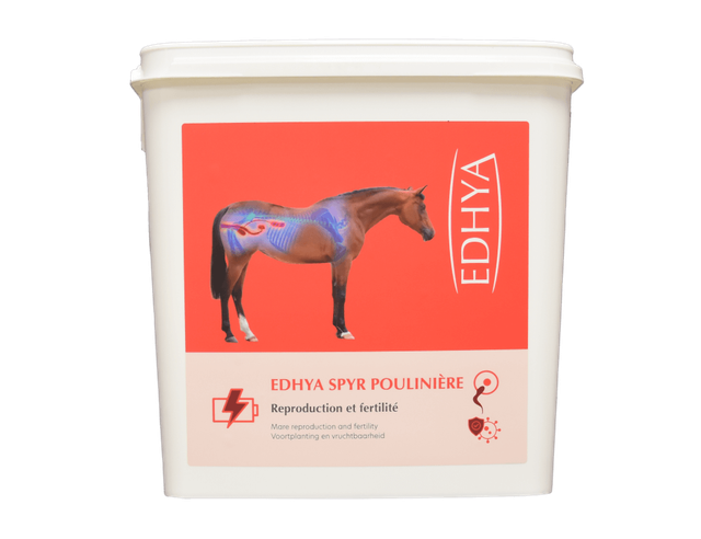 Edhya SPYR POULINIERE 25 kg