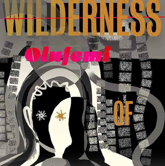 Wilderness of Mirrors | Olufemi Terry 
