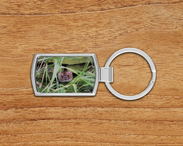 "Pop Goes the Weasel" Keyring  