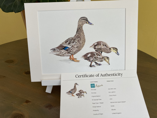 Mother Duck Fine Art Print