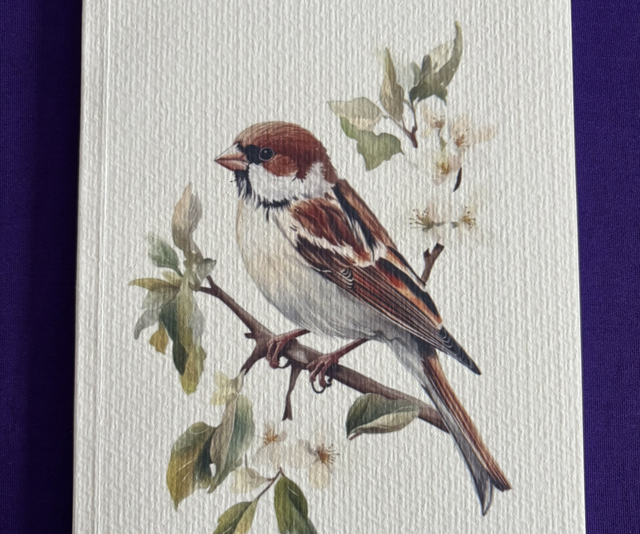 Lined Note Pad Bird Sparrow