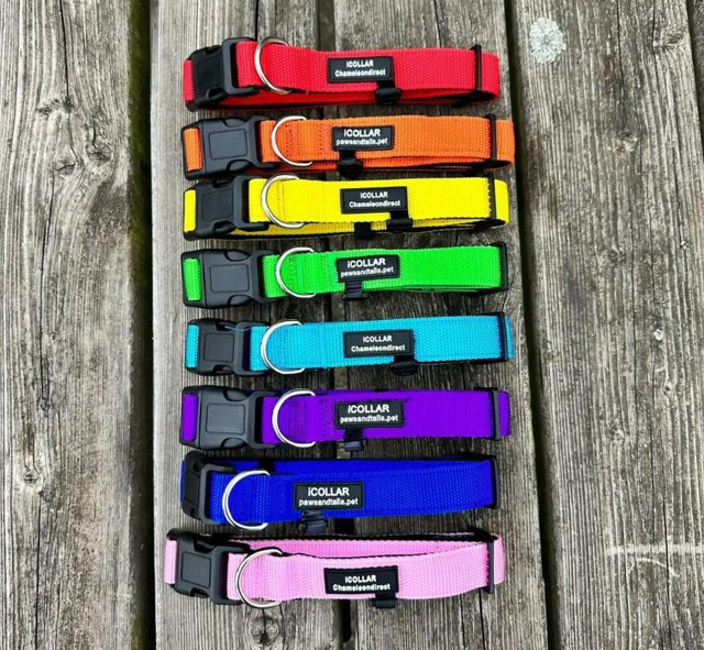 Dog collars clip fastening