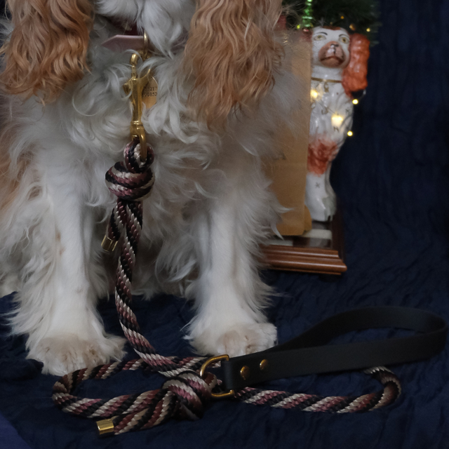 Canis Major — Laisse bi-matière sangle et corde 120cm — noire, bordeaux et beige