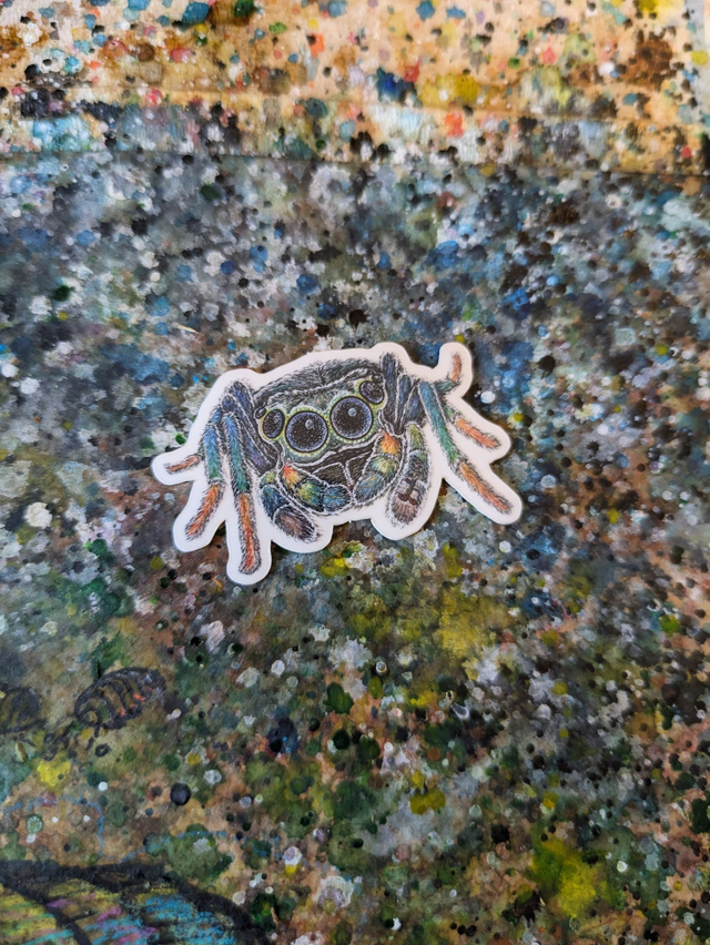 &quot;Araignée Cosmic&quot; Sticker 