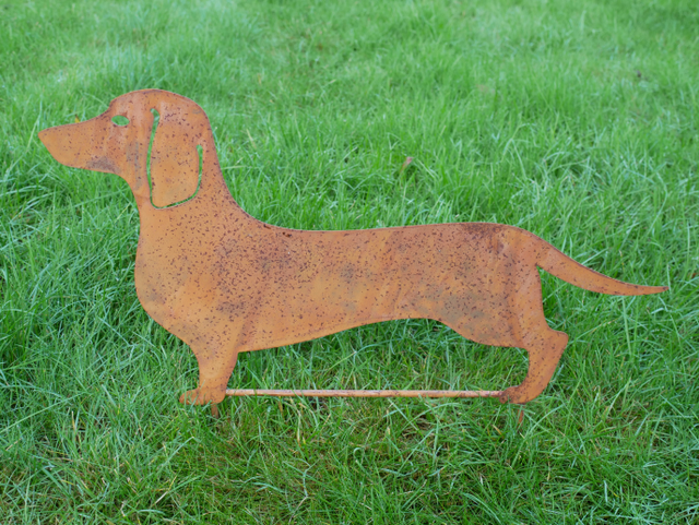 Sausage Dog / Dachshund 