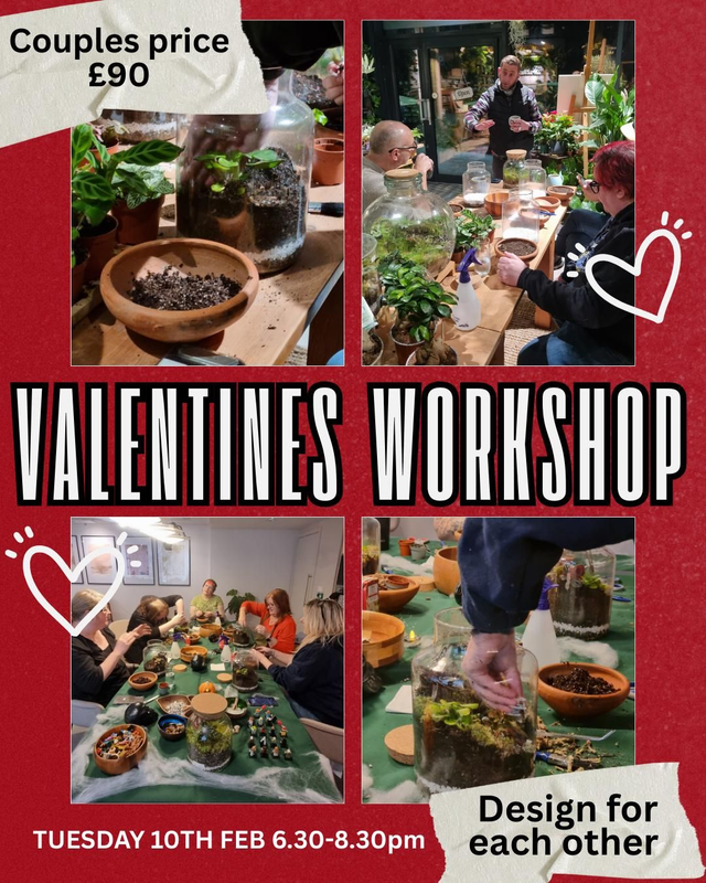 Valentines Terrarium Workshop 10th Feb 