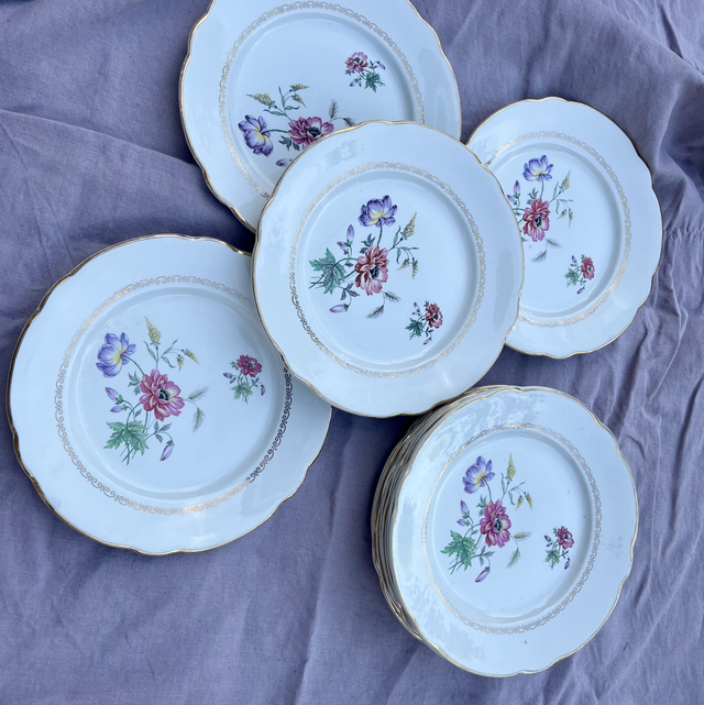 Série de 12 assiettes plates Luneville KG