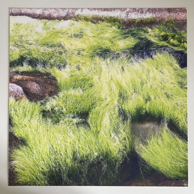 "Hélénite#15" - Tirage Photo FineArt (30x30 sans cadre)