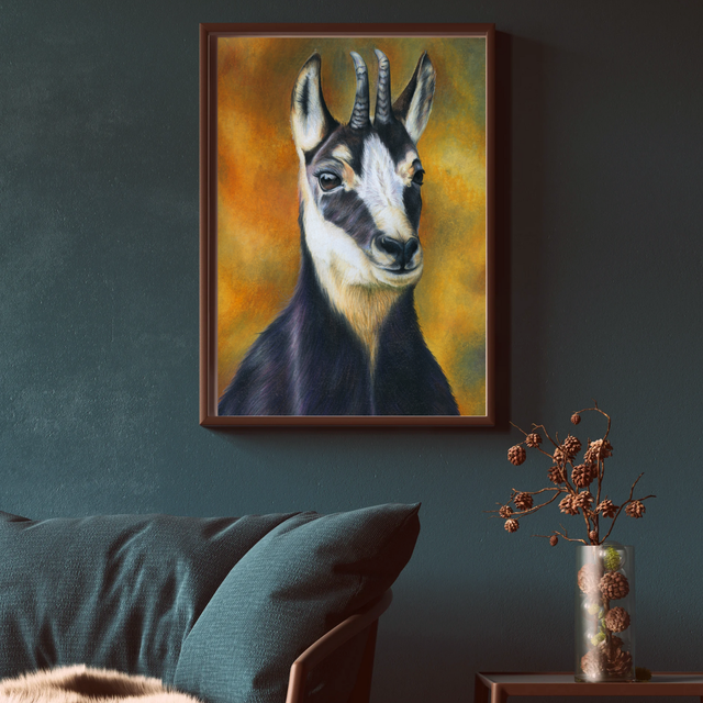 Chamois N°1