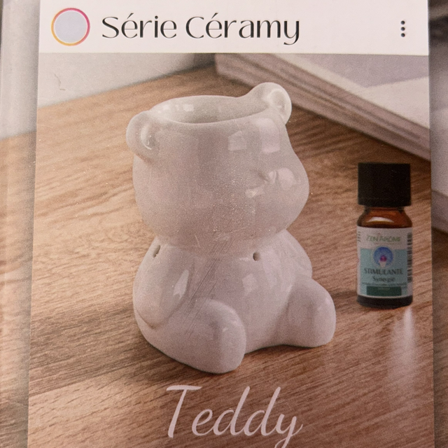 Brûleur Teddy
