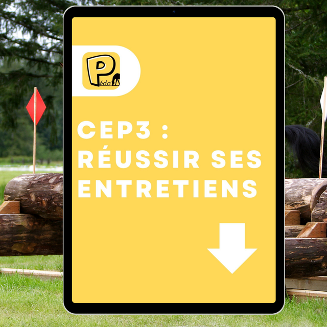 CEP3 - Réussir ses entretiens 