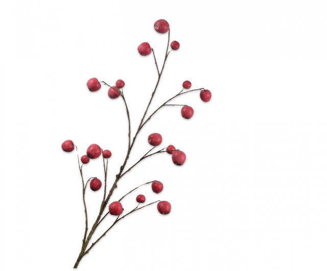 Silk-Ka Appeltak Rood 124cm