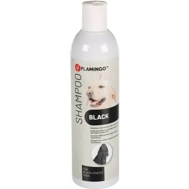 Šampūnas Juodam Kailiui 300ml