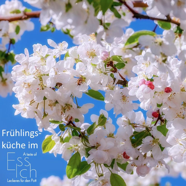 Frühlingsküche 13. März 2026
